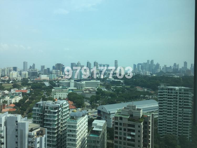 Park Infinia At Wee Nam (D11), Condominium #94874012